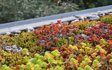the cost of Ram Hill green roof installation